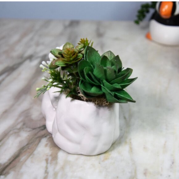 Small ceramic polar bear planter  w/Sola festive hand-painted Sola succulents - Picture 6 of 8